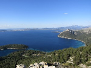 IMG_0159 (Medium)